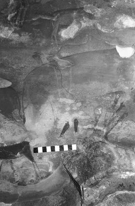 NMSA 03 1177P