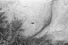 NMSA 03 1813P