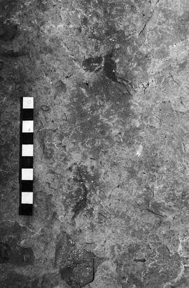 NMSA 03 3224P