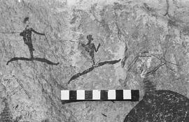 NMSA 03 1411P