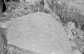 NMSA 03 7459P