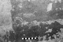 NMSA 03 6506P