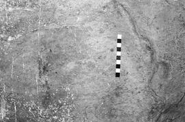 NMSA 03 1916P