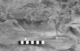 NMSA 03 1044P