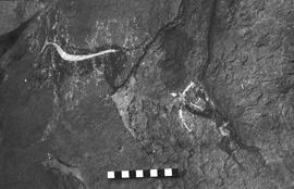 NMSA 03 2511P