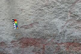 NMSA RSA KOP1 21D
