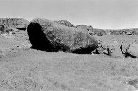 NMSA 03 5607P