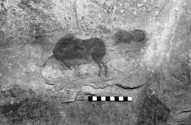 NMSA 03 4447P