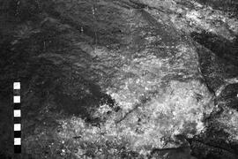 NMSA 03 4160P