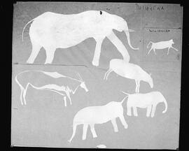 NMSA 03 8192P