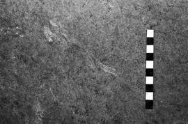 NMSA 03 4587P
