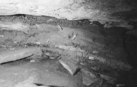 NMSA 03 8786P