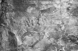 NMSA 03 7790P