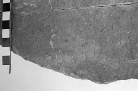 NMSA 03 8632P