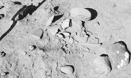 NMSA 03 527P