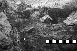 NMSA 03 4057P