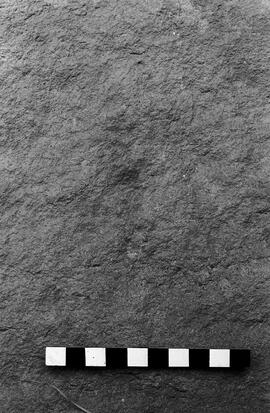 NMSA 03 5796P