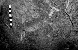 NMSA 03 3487P