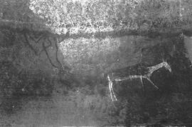 NMSA 03 985P
