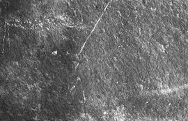 NMSA 03 6930N