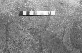 NMSA 03 1352P