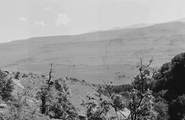 NMSA 03 4449P