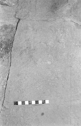 NMSA 03 1571P