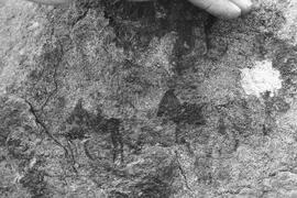 NMSA 03 208P