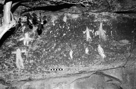 NMSA 03 3977P