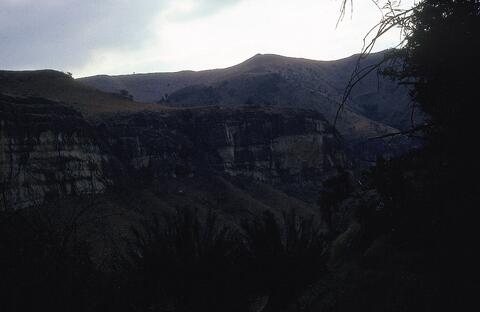 Open original Digitaal object