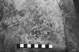 NMSA 03 4048P