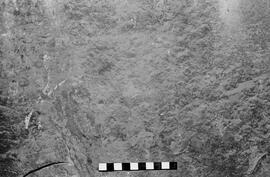 NMSA 03 5775P