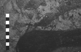 NMSA 03 5280P