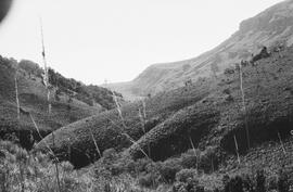 NMSA 03 2726P
