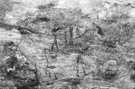 NMSA 03 193P