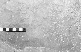 NMSA 03 1920P