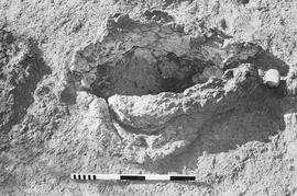 NMSA 03 590P