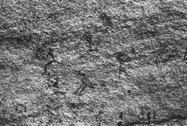 NMSA 03 126N