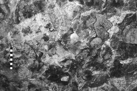 NMSA 03 4384P