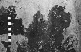NMSA 03 4620P