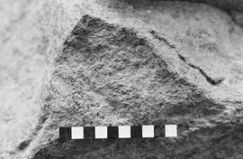 NMSA 03 1642P