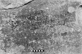 NMSA 03 4809P