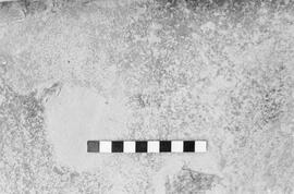 NMSA 03 2794P