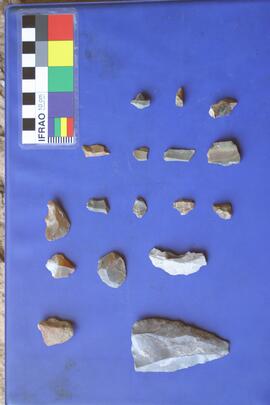 NMSA RSA GEO4 41D