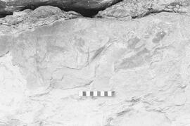 NMSA 03 311P