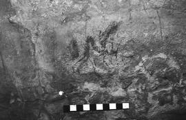 NMSA 03 4514P