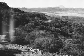 NMSA 03 692P