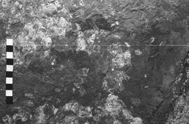 NMSA 03 5186P