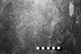 NMSA 03 5766P