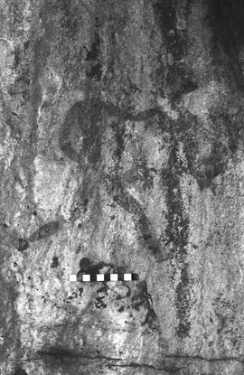 NMSA 03 2254P